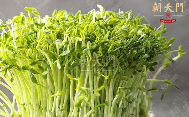 品牌小火鍋連鎖店如何加盟？
