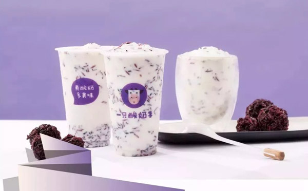 適合女性開(kāi)的實(shí)體店-一只酸奶牛