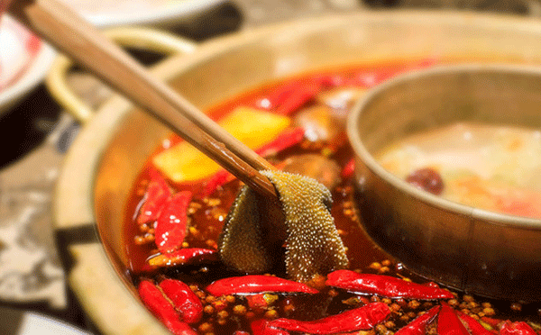 成都火鍋店數(shù)量超越川菜館，線上餐飲消費(fèi)四成是火鍋