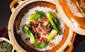 哪個地方制作的煲仔飯味道更好
